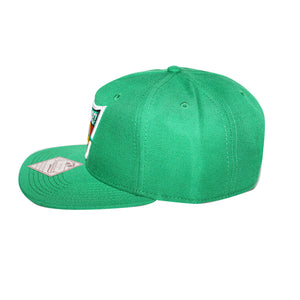 Bioworld Licensed Green Arrow Snapback Hat